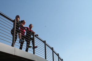 IMG_8355